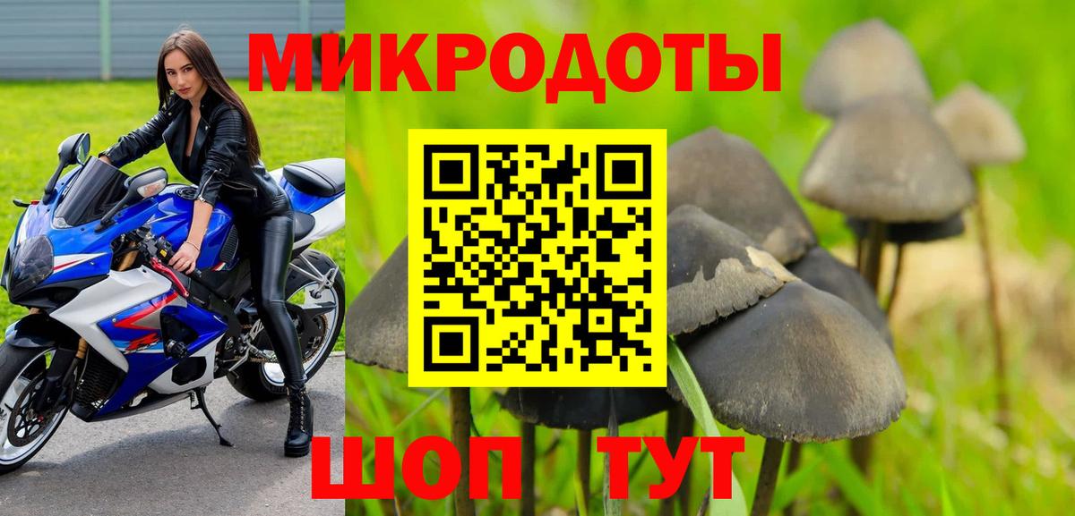 Холмск  Псилоцибиновые грибы мицелий  Вход с VPN 