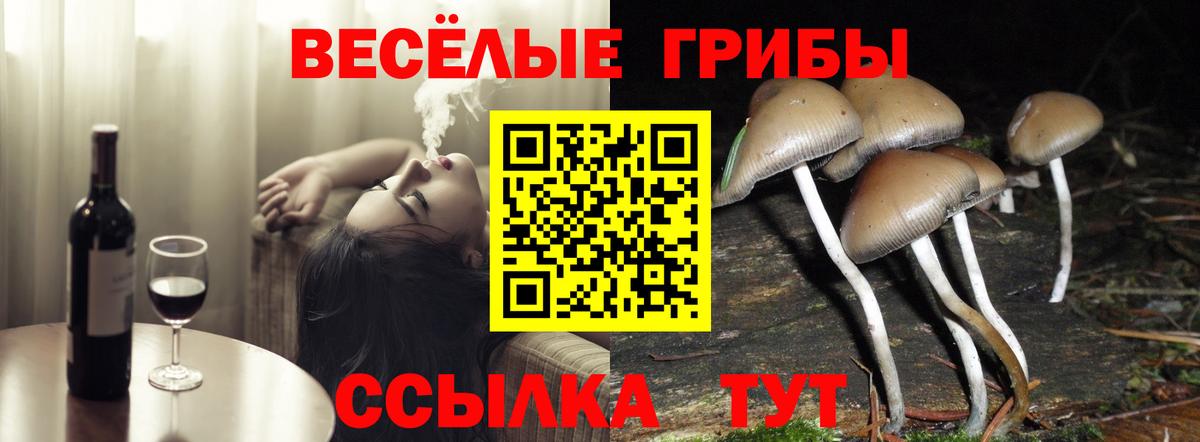 Псилоцибиновые грибы мухоморы Холмск